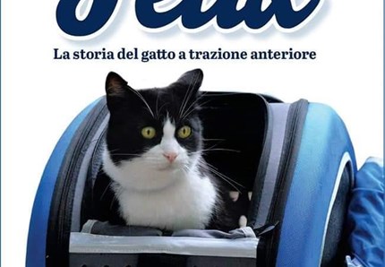 Felix, la storia del gatto a trazione anteriore